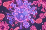 HMPV Virus, HMPV Virus case in Bengaluru, first hmpv virus case detected in india s bengaluru, Dghs