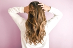 hair pack for monsoon, hair fall in monsoon, 5 fruitful tips to say goodbye to your hair problems during monsoon, Fashion tips