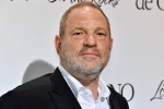 British Film Institute, Harvey Weinstein, uk probe into harvey weinstein s sexual assaults widens with seven women, Harvey weinstein