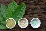 lifestyle, herbal supplements, this pain treating herbal supplement is not safe for use, Opioid
