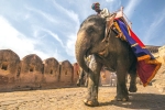 heritage tour meaning, heritage tour in India, 10 best heritage tours in india, Mamma