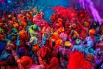 bhang powder, bhang thandai, holi 2019 dates history and significance of bhang on the holy day, Festival of colors