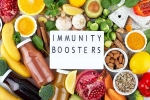 Immunity Tips articles, Immunity Tips articles, interesting science backed tips to feel your best, Better sleep