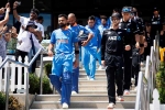 Indians in new zealand, Indians in new zealand, india vs new zealand semifinal kiwis of indian origin in conflict over which team to support, Kane williamson