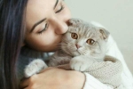 International Cat Day, Cat Owner, international cat day reasons why being a cat owner is good for health, Cat owner
