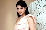Sukesh Chandrashekhar, Jacqueline Fernandez accused, jacqueline fernandez files complaint against sukesh chandrashekhar, Jacqueline