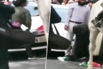 journalist poonam Joshi, journalist poonam Joshi, watch journalist jumps into violent protest to save indian tricolor, Poonam