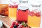 Kombucha and Fermented Foods for health, Kombucha and Fermented Foods for health, health benefits of kombucha and fermented foods, Immune system
