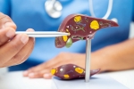 Liver Health tips, Liver Health breaking, factors that worsens your liver health, Health care