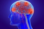 Coronavirus symptoms, post covid complications, coronavirus can cause long term loss of brain tissue, Fda