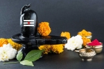Maha Shivratri lord shiva, shivratri 2019 date in india, maha shivratri 2019 visit these lord shiva temples to witness best of the maha shivratri, Maha shivratri