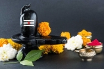 sawan shivratri 2019, sawan shivratri 2019 date, maha shivratri 2019 visit these lord shiva temples to witness best of the maha shivratri, Ujjain