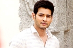 Mahesh Babu, Bharat anu Nenu, mahesh babu to take a long break, Bharat anu nenu