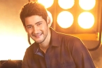 Mahesh Babu latest, Mahesh Babu, mahesh babu getting bollywood beauty for his next, Sarileru neekevvaru