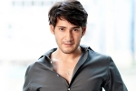 Mahesh Babu Pushpa breaking news, Mahesh Babu and Allu Arjun, mahesh babu lauds the team of pushpa, Pushpa review