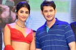 Pooja Hegde next film, Pooja Hegde with Trivikram, mahesh babu all set to romance pooja hegde again, Maharshi