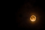 what will happen if you look at the moon on ganesh chaturthi, when not to see moon on ganesh chaturthi 2017, here s why you should not look at moon on ganesh chaturthi, Ganesh idol