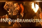 Brahmastra Telugu event, Brahmastra news, ntr turns chief guest for brahmastra event, Back pain