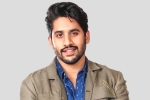 Naga Chaitanya new movie, Naga Chaitanya next film, interesting title for naga chaitanya s next, Majili