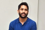Naga Chaitanya updates, Naga Chaitanya, change of plans for naga chaitanya, Nandini reddy