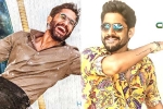 Naga Chaitanya news, Naga Chaitanya upcoming projects, naga chaitanya gearing up with two films, Nagarjuna akkineni