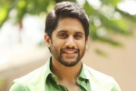 Merlapaka Gandhi, UV Creations, naga chaitanya signs his next, Shailaja reddy alludu