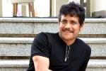 Nagarjuna next movie, Nagarjuna upcoming movies, nagarjuna s 100th film will be a multi starrer, Wild dog
