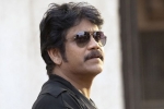 Ammitabh Bachchan, Nagarjuna latest, nag signs a bollywood flick, Devadasu