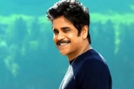 Dhanush, Nagarjuna and Rashmika Mandanna, nagarjuna s surprise in dhanush s film, Dhanush