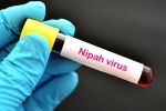 Nipah Virus new case, Nipah Virus first case, nipah virus is back again two deaths registered, Nipah virus