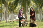Shruti Haasan, Katamrayudu release date, no audio launch for katamrayudu, Shruthi
