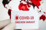 Omicron USA articles, Omicron USA, omicron is no worse than other variants says us scientists, Omicron usa