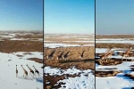 OpenAI Video Platform, OpenAI Sora brief, openai s ai video platform sora is here, Preview