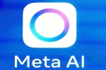 OpenAI Vs Meta latest update, OpenAI Vs Meta breaking, 100 million usd to quit openai for meta, Sia