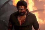 PVR and INOX on Salaar, PVR and INOX on Salaar, pvr and inox degrading act on salaar, Maruthi