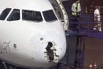 Pakistan Airspace news, Pakistan Airspace, pakistan rejected indigo pilot s request to use its airspace, Rec