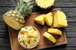 wound healer, bromelain, pineapples as a possible wound healer recent brazilian study supports the claim, Brazilian study