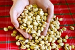 Pistachios latest, Pistachios updates, pistachios are a perfect protein snack, Walnuts