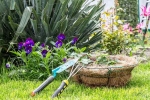Plants that attract Snakes breaking, Plants that attract Snakes news, five plants that attract snakes at home, Dev patel