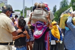 labourers, labourers, plight of migrant workers baby shakes to wake up deceased mother, Labourers