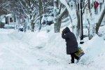 polar vortex split, Polar Vortex in US midwest, polar vortex extreme colds hits u s midwest 21 killed, Nws