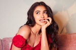 Pooja Hegde next film, Pooja Hegde movies, pooja hegde in talks for a biggie, Siddharth roy kapur