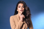 Pooja Hegde next films, Pooja Hegde next films, pooja hegde lines up bollywood films, Cup