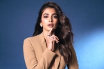 Pooja Hegde new movies, Pooja Hegde upcoming films, pooja hegde lines up bollywood films, Dusshera