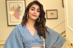 Pooja Hegde new film, Pooja Hegde, pooja hegde in pink remake, Taapsee