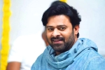 Prabhas latest updates, UV Creations, prabhas jaan delayed further, Weightloss