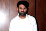 Maruthi, Prabhas film updates, two beauties locked to romance prabhas, A maruthi film