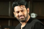 Prabhas news, Prabhas Project K updates, prabhas to join project k from november, C ashwini dutt Prabhas news, Prabhas Project K updates, prabhas to join project k from november, C ashwini dutt