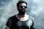 Prashanth Neel, Prithviraj Sukumaran Telugu film, prabhas salaar to have malayalam star, Shruthi