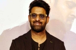 People Media Factory, Prabhas Vintage King release date, interesting title for prabhas next, Maruthi